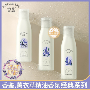 香鉴薰衣草精油香氛洗发水沐浴露护发素身体乳液丽持久留香枫酒店