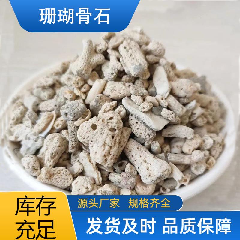 天然大块珊瑚骨滤材鱼缸过滤材料净水珊瑚石珊瑚砂过滤沙石图片
