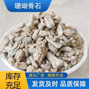天然大块珊瑚骨滤材鱼缸过滤材料净水珊瑚石珊瑚砂过滤沙石