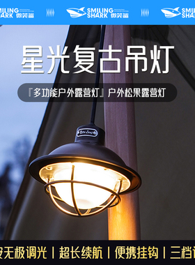 露营照明灯超长续航家用可充电氛围灯野营帐篷挂灯营地户外手提灯