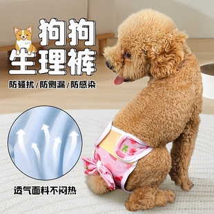 狗狗生理裤安全裤防交配泰迪姨妈巾宠物月经期小狗尿不湿避孕裤子
