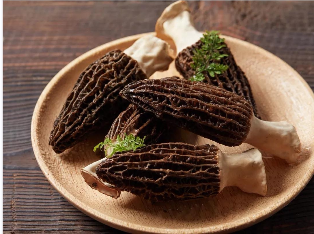 【云南产地直发】羊肚菌 熬汤煲汤 正宗云南菌菇  50g/袋