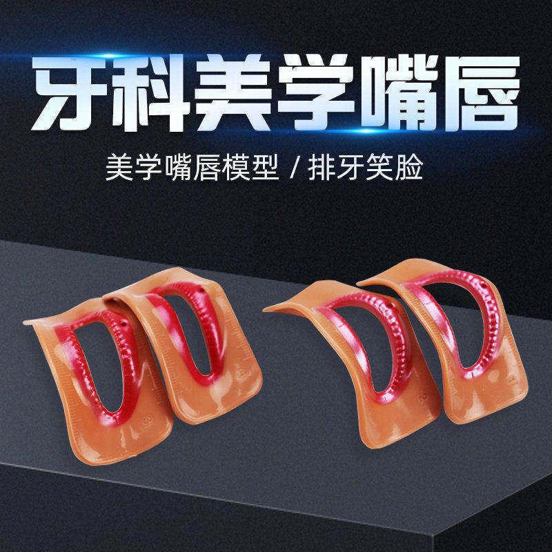 牙科美学唇测假嘴唇对照模具