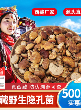 25年新货西藏野生隐孔菌无根须元果树荷包250g觅阳果中药材松橄榄