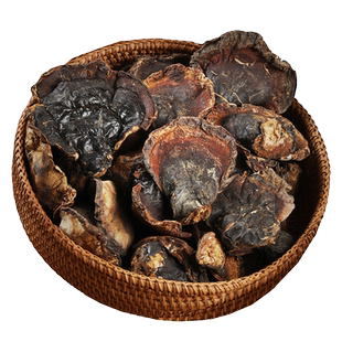 西藏松杉灵芝野生正品整朵500g林芝特产松杉树芝铁杉灵芝非长白山