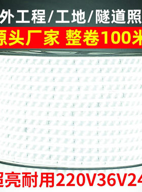 梵耀LED户外低压灯带24V36V防水灯带超亮工程隧道地下室220V工地