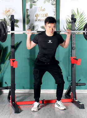 雷克（LEIKE）深蹲架健身器材家用卧推架多功能举重床简易套装杠