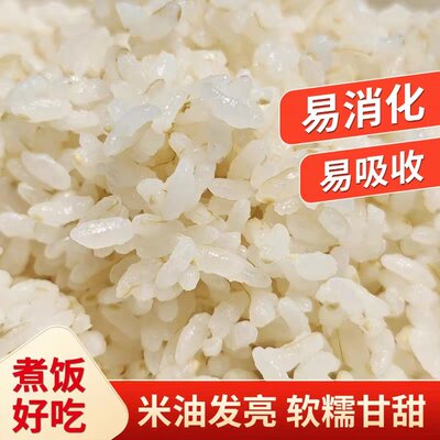 龙都集市雪水米带胚芽新疆大米当季新米软糯劲道产地直供