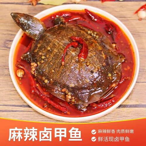 【卤制入味 胶香浓郁】麻辣卤甲鱼鲜活现卤真空开袋加热即食熟食