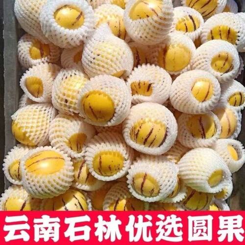 【王大水专属】云南石林人参果新鲜水果圆果富硒树上熟奶香清甜香