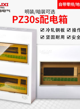 德力西双层配电箱明暗装电闸空开盒12位双排24回路PZ30强电箱【暗