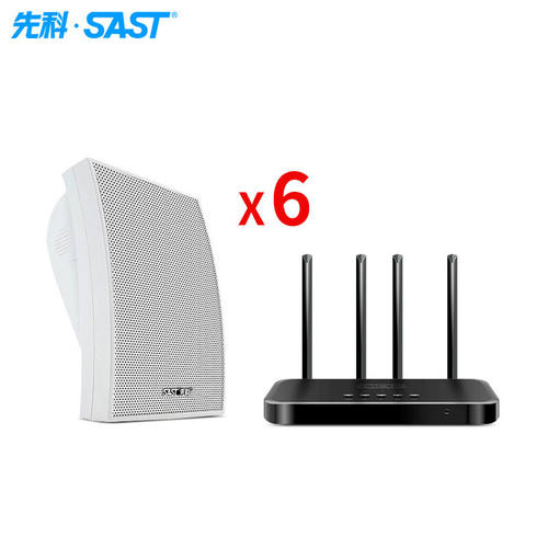 先科（SAST）无线蓝牙壁挂音响喇叭音箱套装公共广播环绕背景音乐