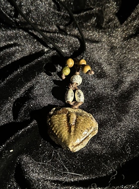 天然原石标本三叶虫化石项链吊坠