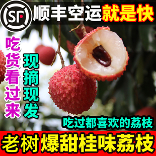 老树桂味荔枝新鲜现摘顺丰空运糯米仙进妃子奉糍笑荔枝当季水果