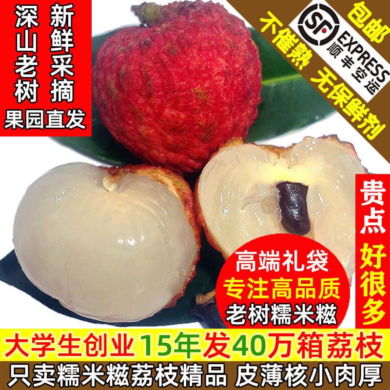 荔枝新鲜广东茂名高州老树糯米糍荔枝真小核顺丰仙进桂奉味水果