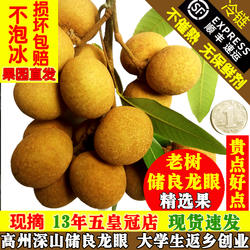 老树储良龙眼新鲜现摘个大肉厚广东茂名高州新鲜储良桂圆水果顺丰