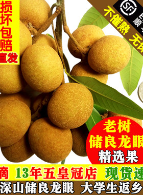 老树储良龙眼新鲜桂圆真个大肉厚