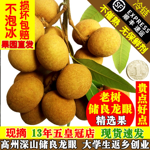 老树储良龙眼新鲜桂圆真个大肉厚
