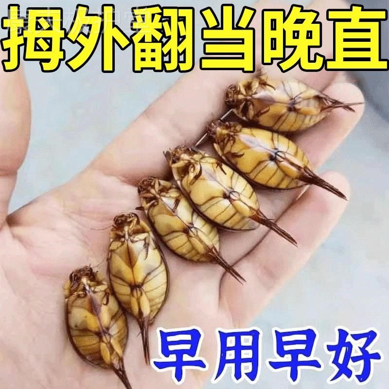 无痛纠正拇外翻】重度拇指外翻拇外翻矫正器大脚骨变形脚趾重叠Y