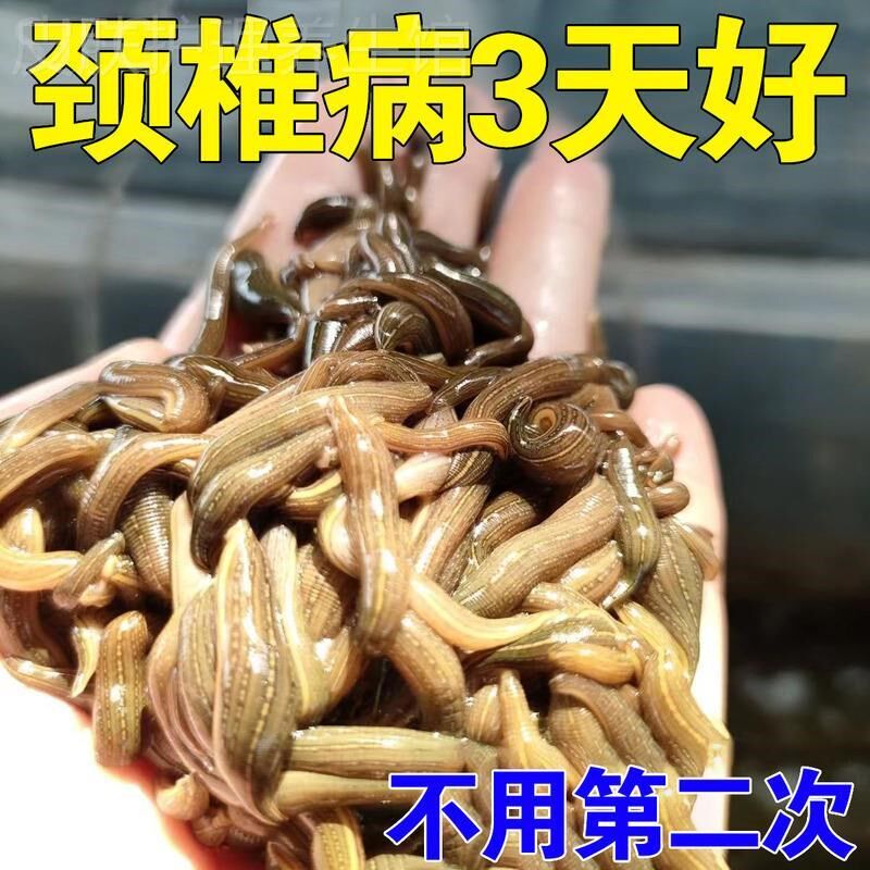 【颈椎克星】颈椎压迫头晕专用脖子僵硬酸痛头晕疏通经络专用贴ZH
