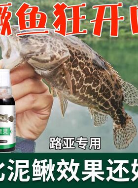 鳜鱼小药泡路亚假饵专用野钓诱鱼剂泡软饵泥鳅黑坑老虎鱼诱食剂