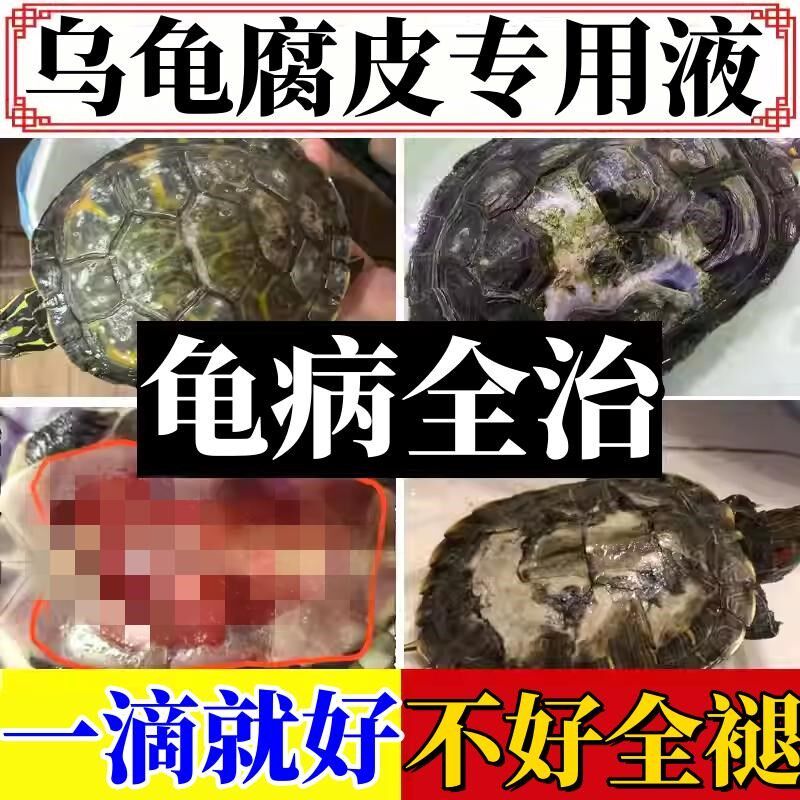 龟药聚维酮碘乌龟爬宠腐皮烂甲烂身白毛水霉疥疮白点真菌外伤消毒