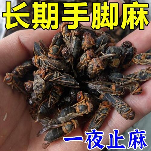 四肢麻木贴手脚发麻手臂酸胀脚趾腿麻抽筋颈椎压迫神经止麻专用YN