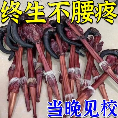 【腰椎不再疼】腰椎疼痛贴腰突压迫神经腰肌无力直不起腰疼专用贴