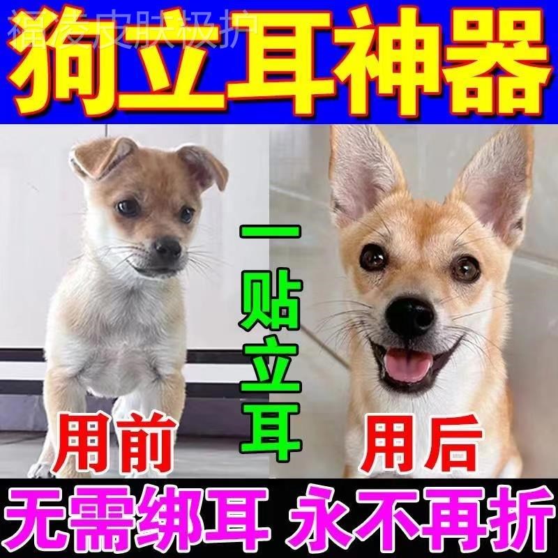 狗狗立耳神器立耳贴德牧柯基小狗雪纳瑞狼狗幼犬折耳朵通用辅助器