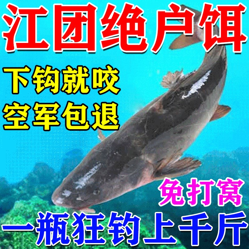 钓江团饵料专用鱼饵小药主攻野钓清江叉尾鲶鱼窝料水库巨物诱鱼剂