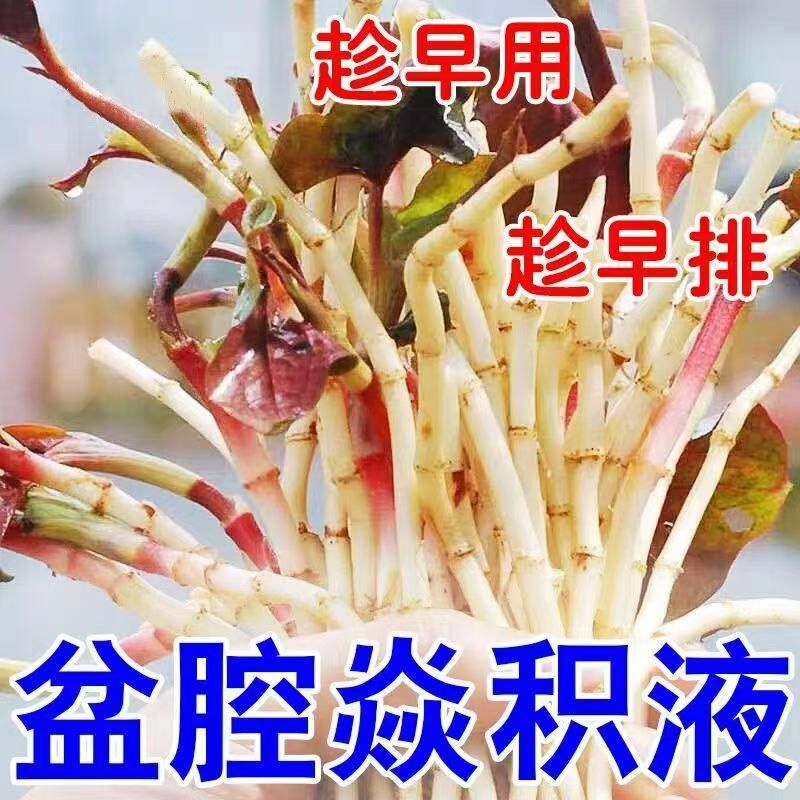 宫腔盆腔积水积液卵输管疏不通热敷包通而不畅伞端粘连堵塞中药贴