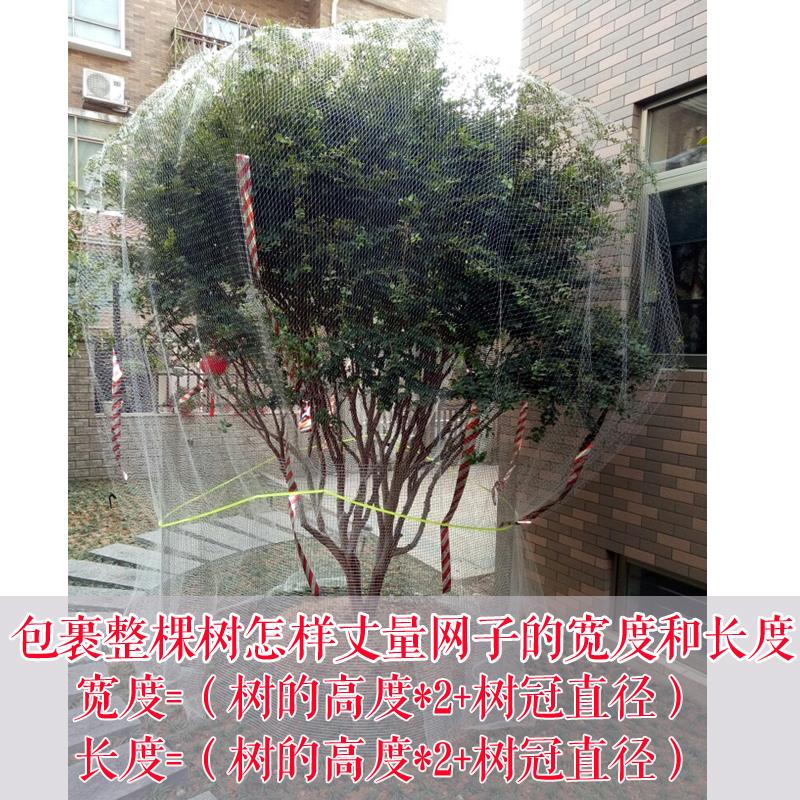 加密植物新款赶鸟果园动物防护葡萄园防鸟网防晒鱼塘樱桃网网罩在类目 鲜花速递/花卉仿真/绿植园艺, 园艺用品, 其它园艺用品中 - 来自Buy2taobao.com提供专业的淘宝代购服务
