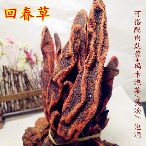 草苁蓉顶天柱特级男滋补泡酒料