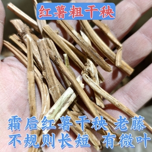 红薯粗干秧霜打地瓜秧老藤500g1000克清热解毒番薯藤枝干润肠通便