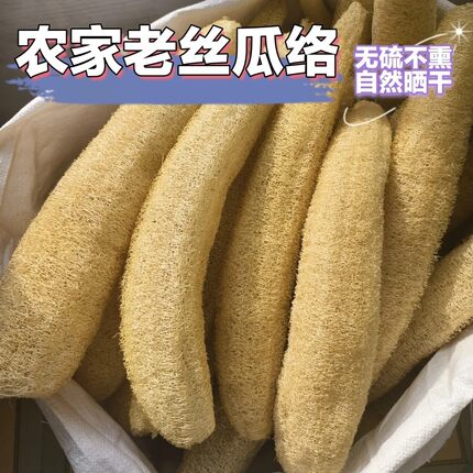 农家丝瓜络洗碗不沾油食用老丝瓜筋通络下奶天然丝瓜瓤中药材