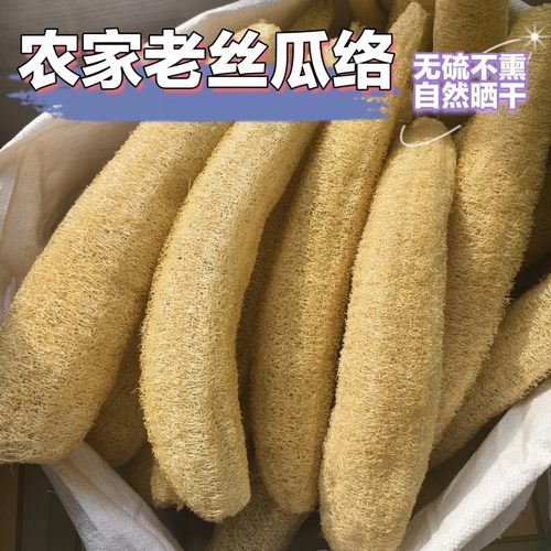 老丝瓜筋通络下奶丝瓜瓤中药材