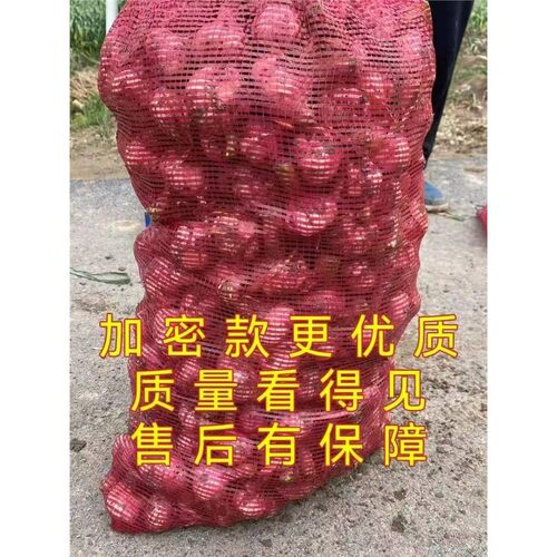 装玉米棒子网袋加密塑料