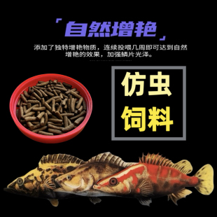 仿虫转口驯化鱼粮斑鳜鱼专用饲料上浮高蛋白养殖淡水红纹鳜鱼石斑