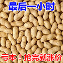 现炒花生铁锅原味炒花生带壳熟花生花生果特产干果零食 净重发货