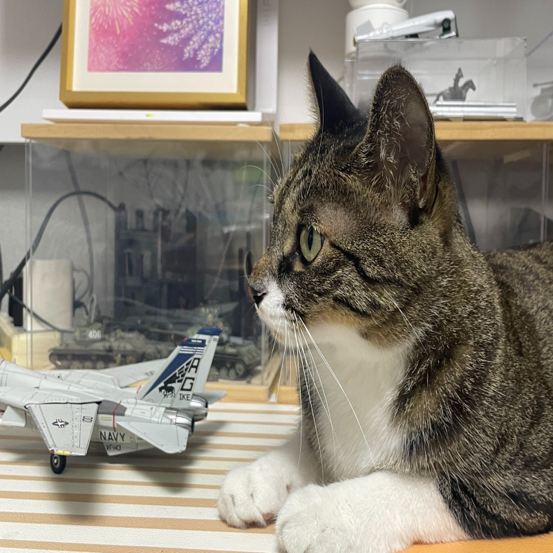 corgi BF109 Aa27104 黄6  400顺丰包邮