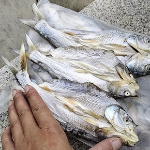 安徽舒城特产万佛湖黄尾鱼干淡水鱼干干货白条大白黄稍鱼咸鱼干