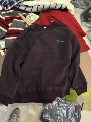 2025冬季新款儿童加绒卫衣女童男童宽松加厚保暖连帽套头衫上衣