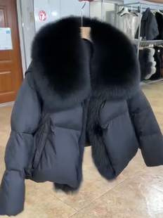 大毛领外套棉服女秋冬短款 洋气棉袄微胖mm面包衣 加厚保暖棉衣时尚