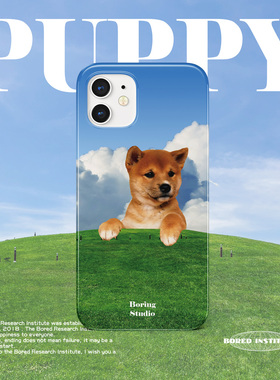 原创日系柴犬秋天蓝天草地适用于苹果IPhone11/12/13pro/14/15/16菲林手机壳imd硅胶软壳小米华为