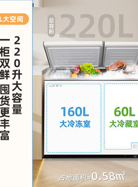 新飞220升双温冷冻冷藏冷柜一级