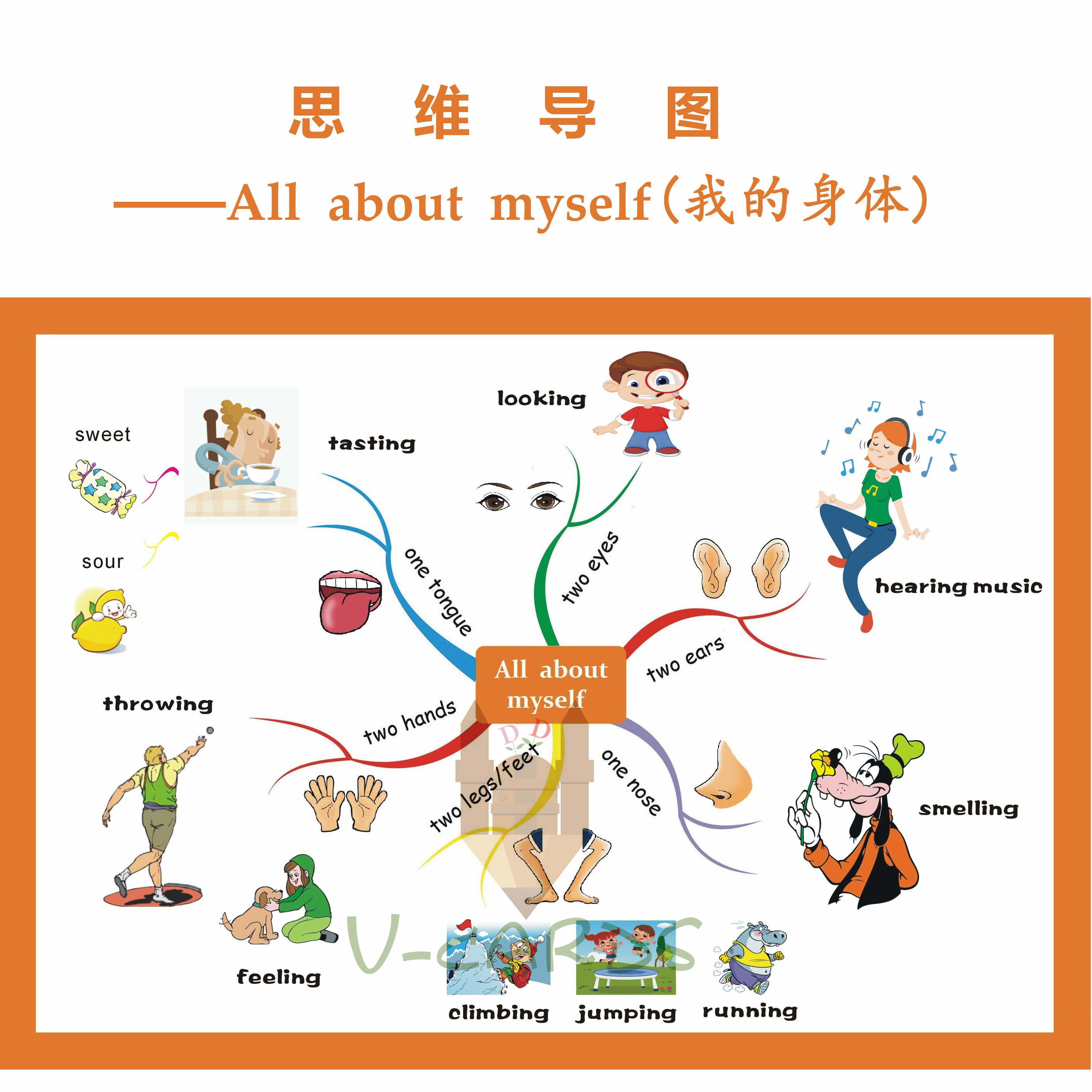 思维导图five senses五感body part身体英语海报幼儿园教室装修卡
