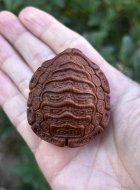 太行崖柏木雕刻富甲天下龟甲龟壳文玩手把件随身盘玩招财桌面摆件
