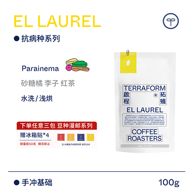 【Terraform】 24产季“豆种漫邮”洪都拉斯月桂抗病种水洗咖啡豆