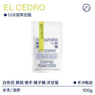 2024新产季 哥斯达黎加COE冠军雪松庄园瑰夏咖啡豆 Terraform