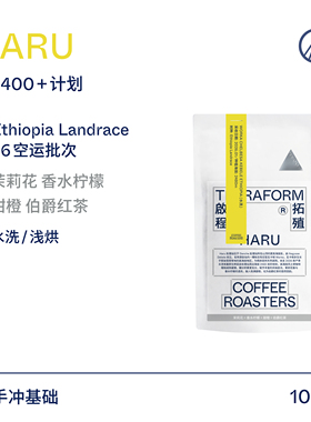 【Terraform】26产季空运批次 2400+计划 埃塞HARU水洗手冲咖啡豆